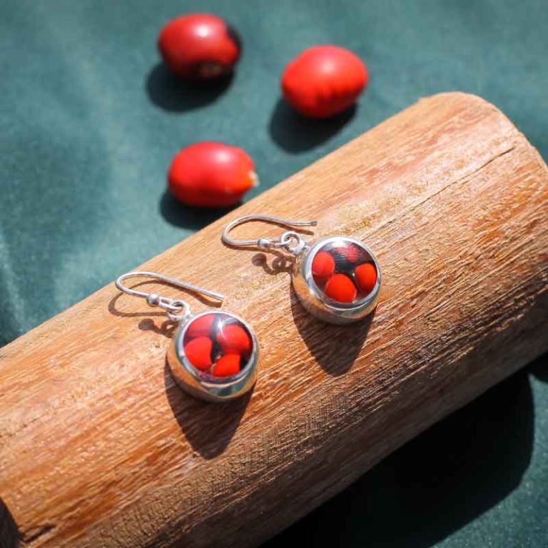 Aretes Amuleto Huayruro