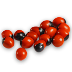 Huayruro